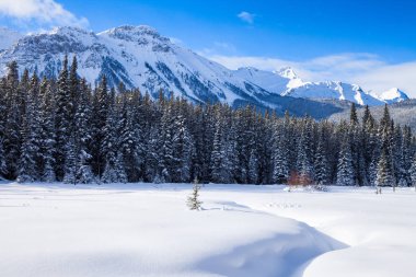 Peter Lockheed Provincial Park, Ca çayırda kar kaplı