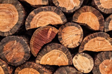 Kıyılmış yakacak odun arka plan yığını