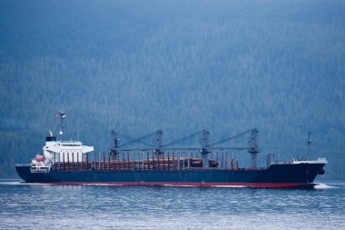 Taze hasat günlükleri yığınları taşıyan bir gemi