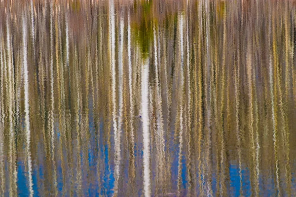 Абстрактное отражение деревьев в пруду — стоковое фото