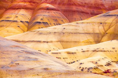 Detail image of the Painted Hills in Oregon, USA clipart