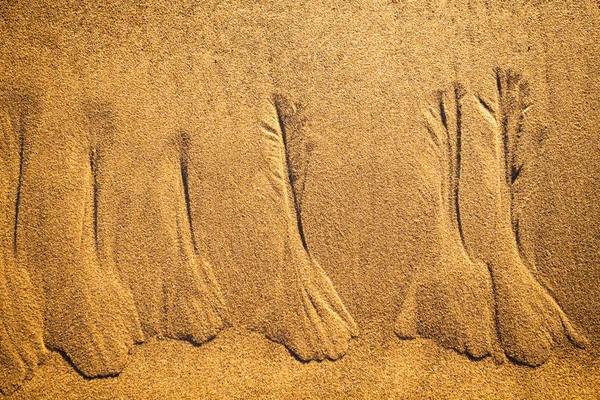 Patrones de agua en una playa — Foto de Stock