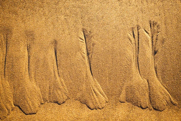 Водні візерунки на пляжі Ліцензійні Стокові Фото