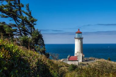 Cape Dissapointment lighthouse, Washington, USA clipart