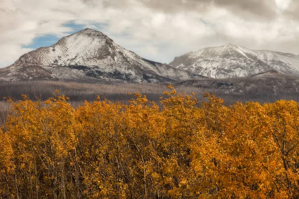 Capas de otoño en el Parque Nacional Glaciar —  Fotos de Stock