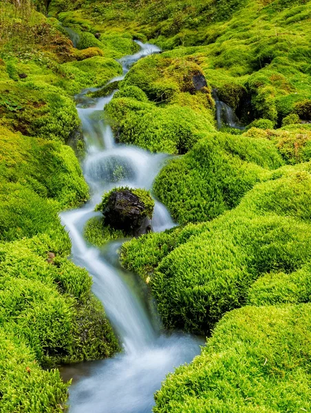 由青苔围拢的小山小河 — 图库照片