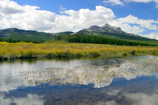 Mountain in southern Alberta with a meadow and pond — Stock Photo, Image