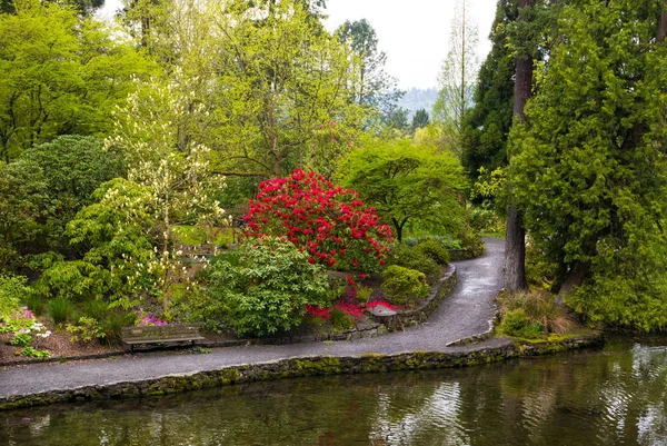 Jardim de Rhododendron portlands Crystal Springs — Fotografia de Stock
