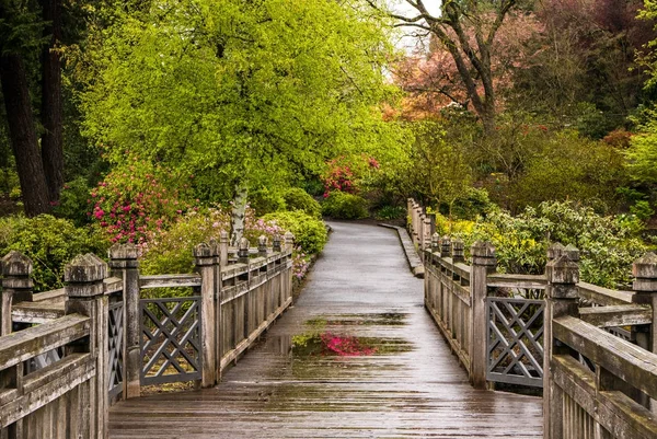 Un puente de madera en Portlands Crystal Springs Rhododendron Garde —  Fotos de Stock