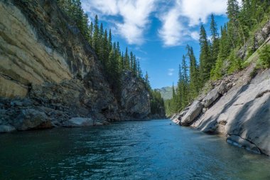 Stewart Kanyon Banff Ulusal Parkı'nda