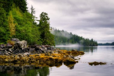 Plaj ve kıyı şeridi Broken grup adadan Batı co