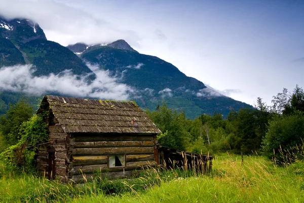 Cabană veche, abandonată, pe o pajişte supraaglomerată. — Fotografie, imagine de stoc