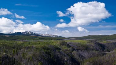 Kelowna, Kanada yakınındaki Kettle Vadisi Demiryolu tren sehpa