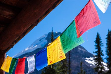 Renkli arkadan aydınlatmalı Himalaya dua bayrakları