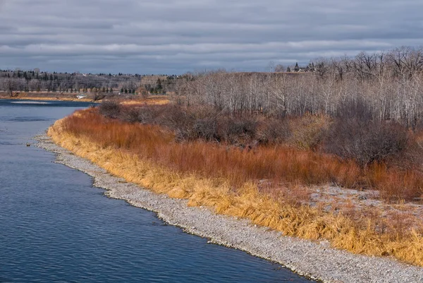 Bow-rzeka w ryby Creek Park, Calgary, Alberta. — Zdjęcie stockowe