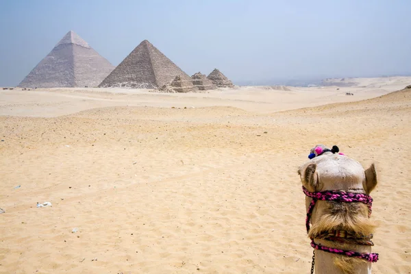 Древние пирамиды Гизы — стоковое фото