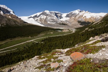 Wilcox Pass, and the Columbia Icefield, Jasper National Park, Al clipart