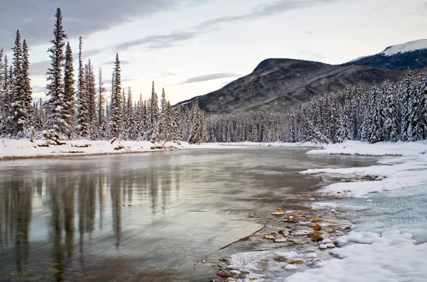 A Bow folyó a Banff nemzeti parkban — Stock Fotó