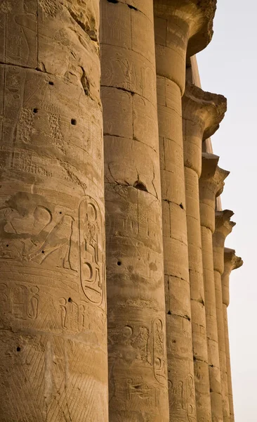 Columnas en el Templo de Luxor — Foto de Stock