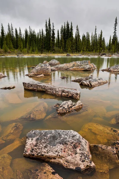 Grandes rocas en un estanque en el bosque — Foto de Stock