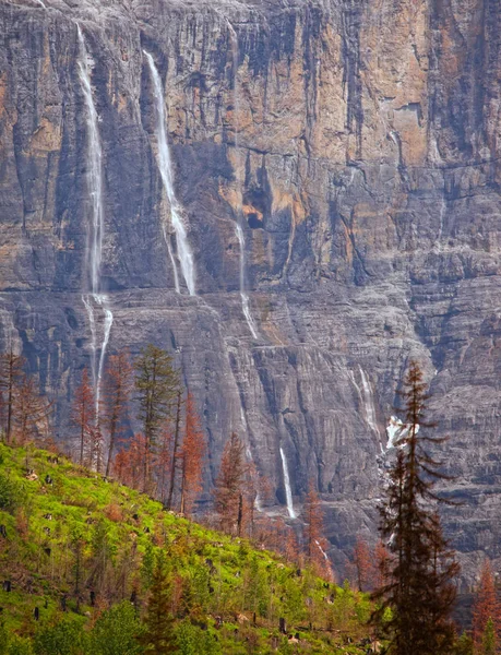 Entfernte Wasserfälle Auf Einer Klippe Mit Immergrünen Bäumen Vordergrund — Stockfoto