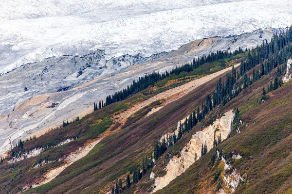 哥伦比亚冰原的空中看法在加拿大岩石登上 — 图库照片