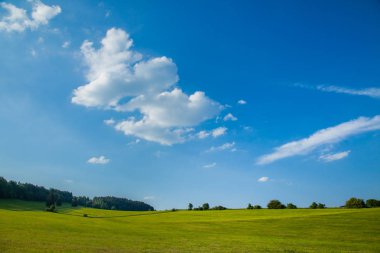 Güzel yeşil alan veya mera bir yaz gününde