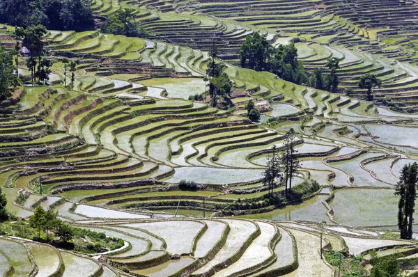 Tarasy ryżowe Yuanyang, Yunnan - Chiny — Zdjęcie stockowe