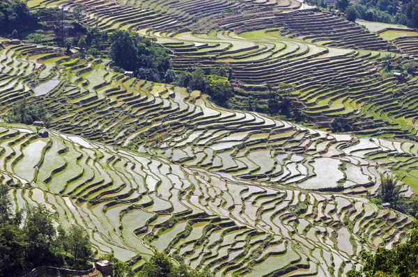 Tarasy ryżowe Yuanyang, Yunnan - Chiny — Zdjęcie stockowe
