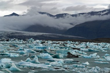 Buzdağı buzul Gölü Jokulsarlon - İzlanda içinde yüzen