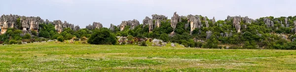 사림 석회암 피너 돌 숲-윈난, 중국의 Panomaric 보기 — 스톡 사진