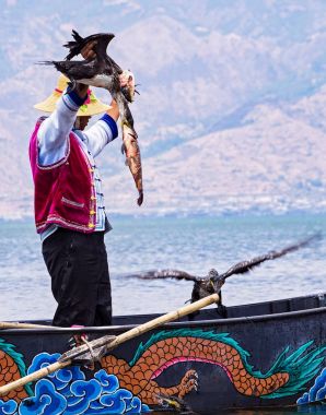 Çince karabatak kuşlar Erhai Gölü - Yunnan, Çin ile balıkçılık dostum