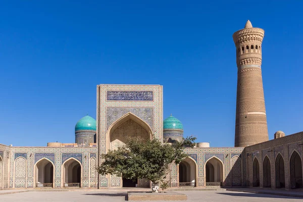 Innergården på Po-i-Kalyan - Buchara, Uzbekistan — Stockfoto