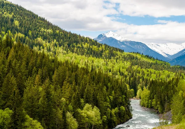 Río de montaña en el colorido bosque de Columbia Británica - Canadá — Foto de Stock