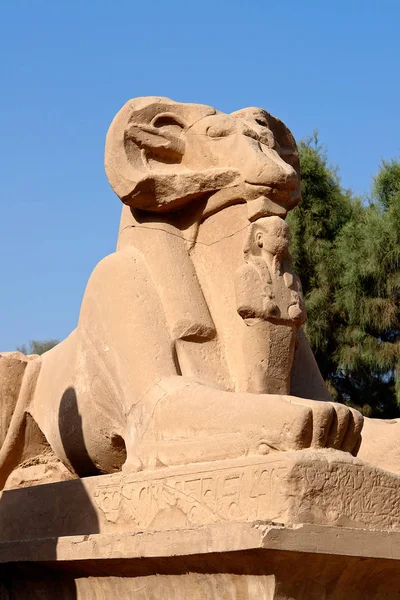 Sfinxul cu cap de berbec din Templul Karnak Luxor, Egipt — Fotografie, imagine de stoc