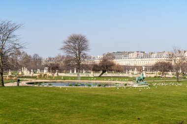 Paris 'teki Jardin des Tuileries: Kışın boş bahçede küçük bir gölet manzarası