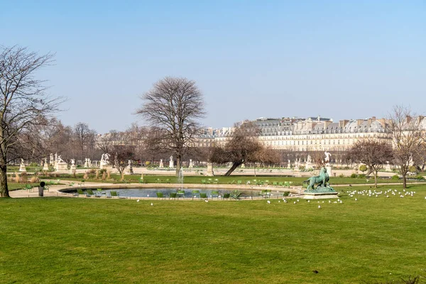 Jardin Des Tuileries Paris View Small Pond Empty Garden Winter — Stock Photo, Image