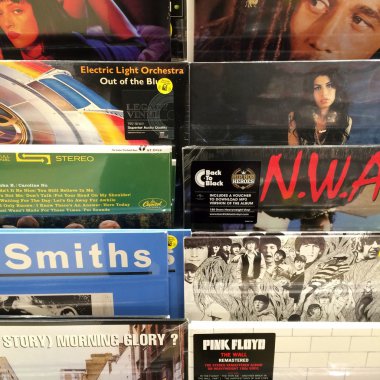 Vinil plak koleksiyonu