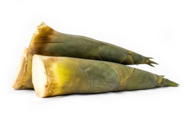 Beyaz bir arka plan üzerinde bambu sürgünleri.