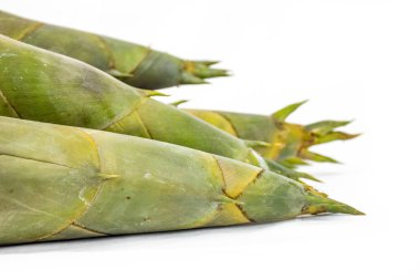 Beyaz bir arka plan üzerinde bambu sürgünleri.