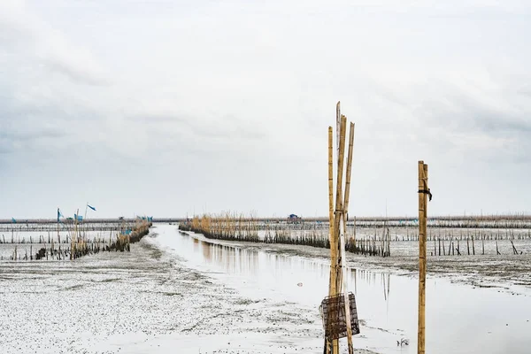Costa con bajo nivel de agua, granja de conchas con bambú seco y arcilla con espacio para copiar. Concepto de tiempo relajante . — Foto de Stock