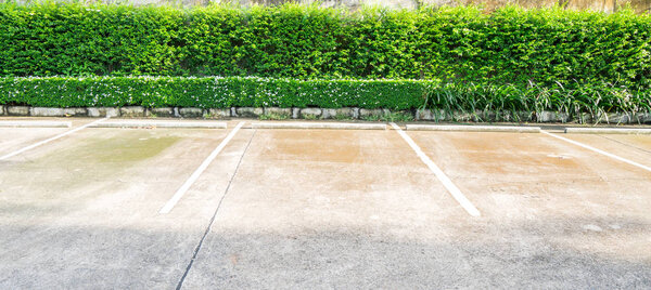 The cemented floor of the car park and trimmed bushes