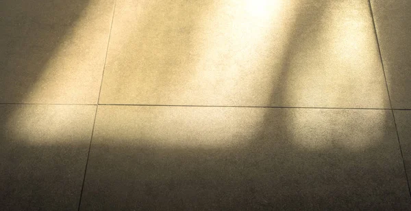 Sunny Parlatıcı ile çimento zemin