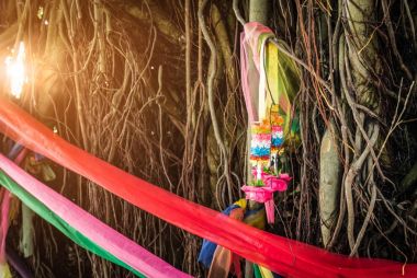 Beş ağaç ve garland banyan ağacı parlama ışık ile solunum kök etrafında sarın kumaş renkleri. Tay halkının inanç. Çevreyi korumak için yollar. Ağaçlar kesilmiş olma korumak.