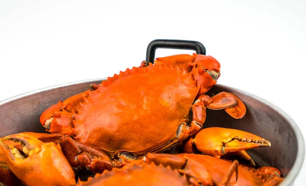 Scylla serrata. Steamed crab in a pot isolated on white background with copy space. Seafood restaurants concept. — Stock Photo, Image