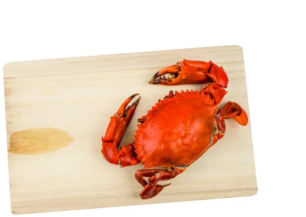 Top view of Scylla serrata. One steamed crab on wood cutting board isolated on white background with copy space. Seafood restaurants concept. — Stock Photo, Image