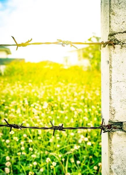 Cerca vieja y oxidada alambre de púas con poste de hormigón en el campo de flores borrosas como el fondo con luz de bengala — Foto de Stock