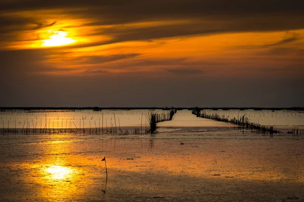 Bord de mer à faible niveau d'eau, ferme coquillière avec bambou séché et argile le soir avec ciel orange et nuages. Beau coucher de soleil dans la mer tropicale . — Photo