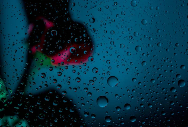 ブルーの背景コピーのテキストのための領域の上に水のドロップでウィンドウの透明なガラスの背後にあるレッドローズの不鮮明な画像。バレンタインの日の概念. — ストック写真