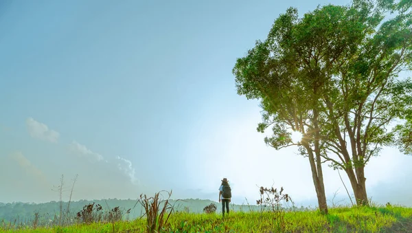 Jovem turista com chapéu e mochila em pé na colina com campo de grama verde e casal grande árvore no dia de sol com céu azul e nuvens cumulus ao pôr do sol. Única mulher viajando sozinho conceito . — Fotografia de Stock